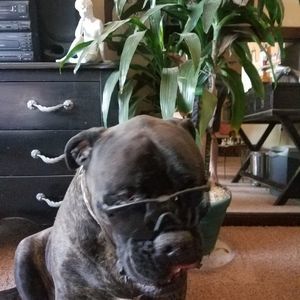 Meet your Posher, Sherry